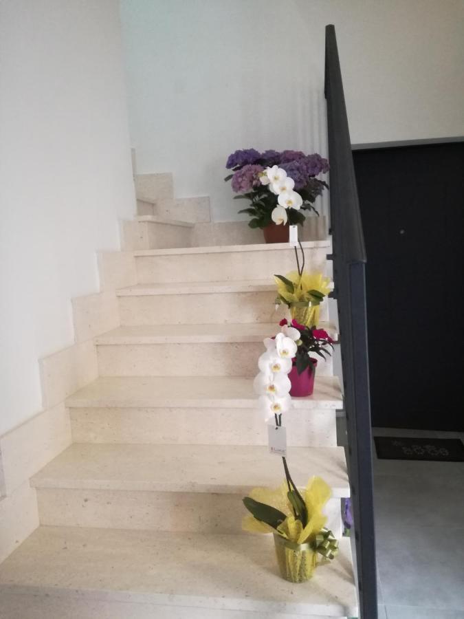 Adagiostay Elmas 외부 사진